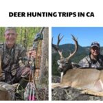Deer Hunting Trips in CA