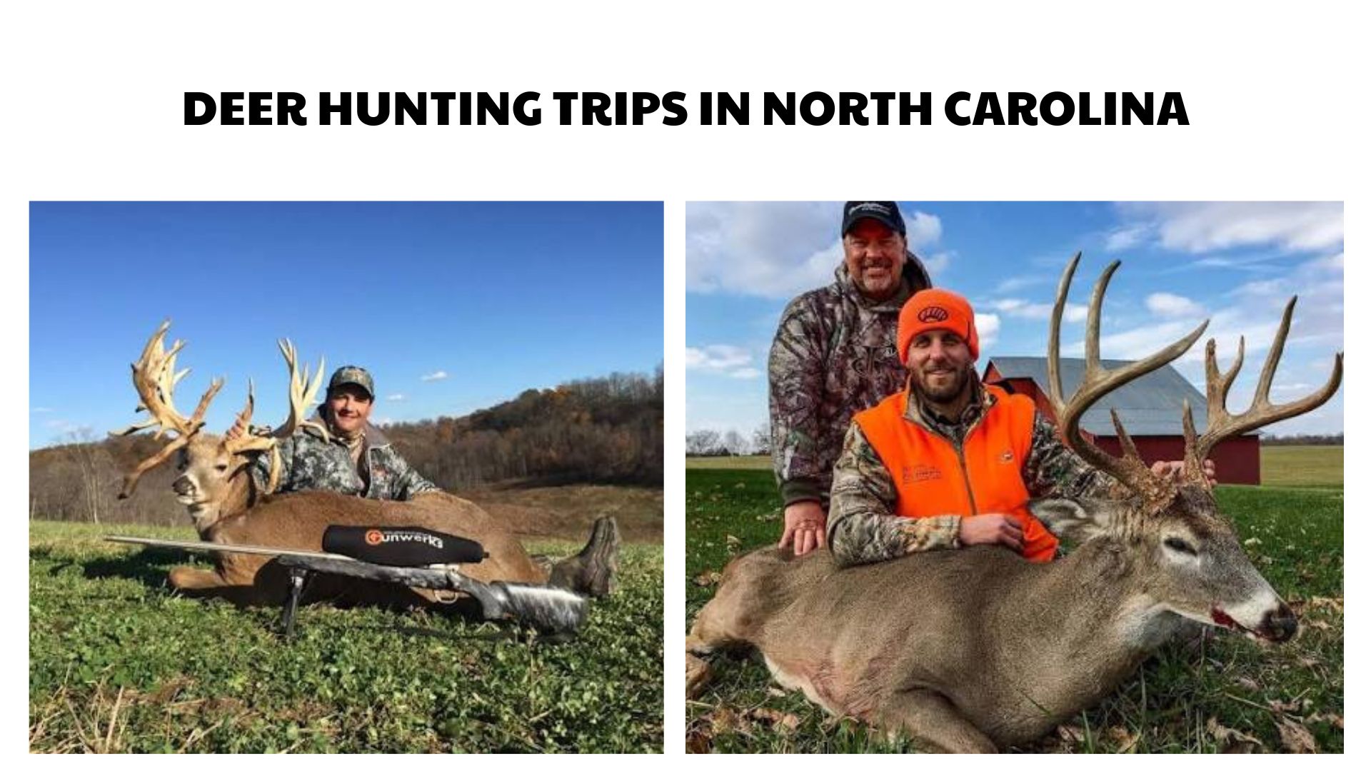 Deer Hunting Trips in North Carolina