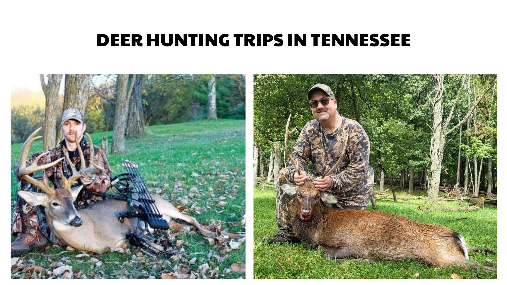 Deer Hunting Trips in Tennessee