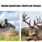 Deer Hunting Trips in Texas