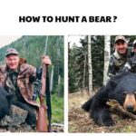 How to Hunt a Bear
