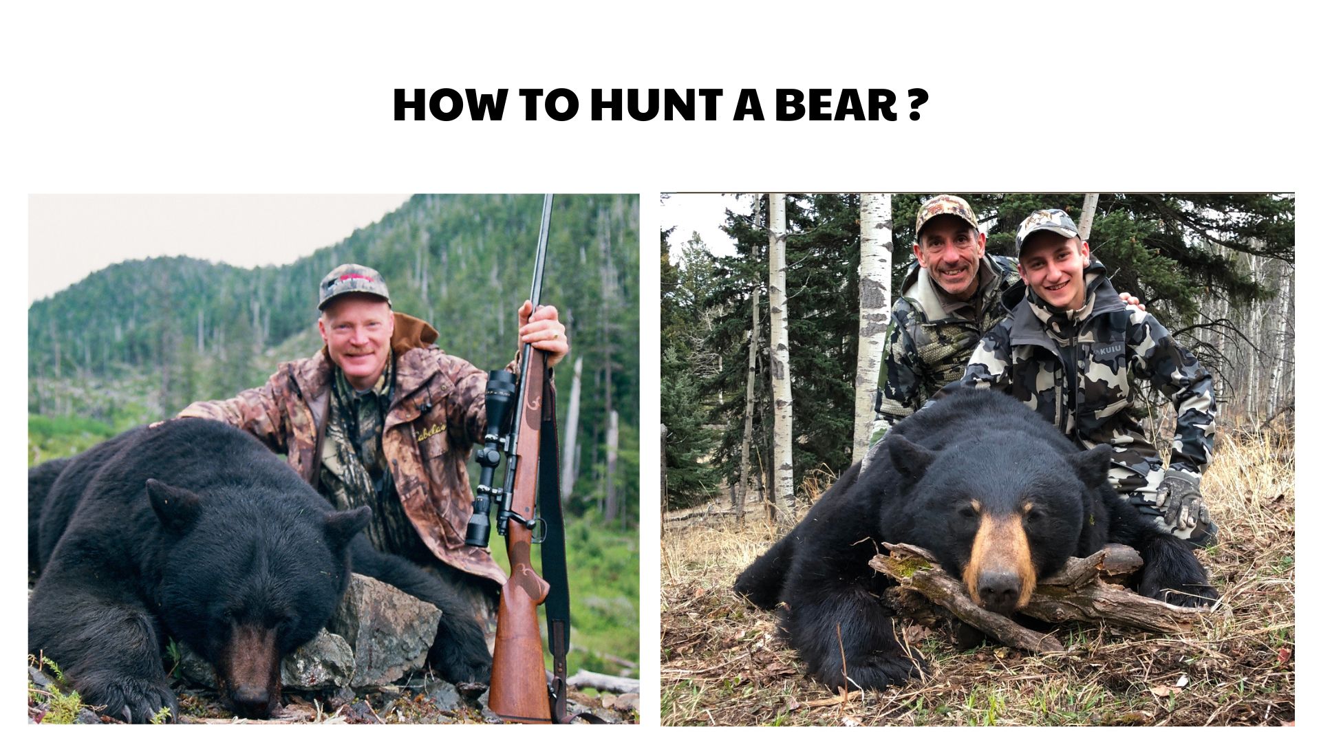 How to Hunt a Bear