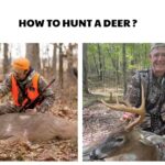 How to Hunt a Deer
