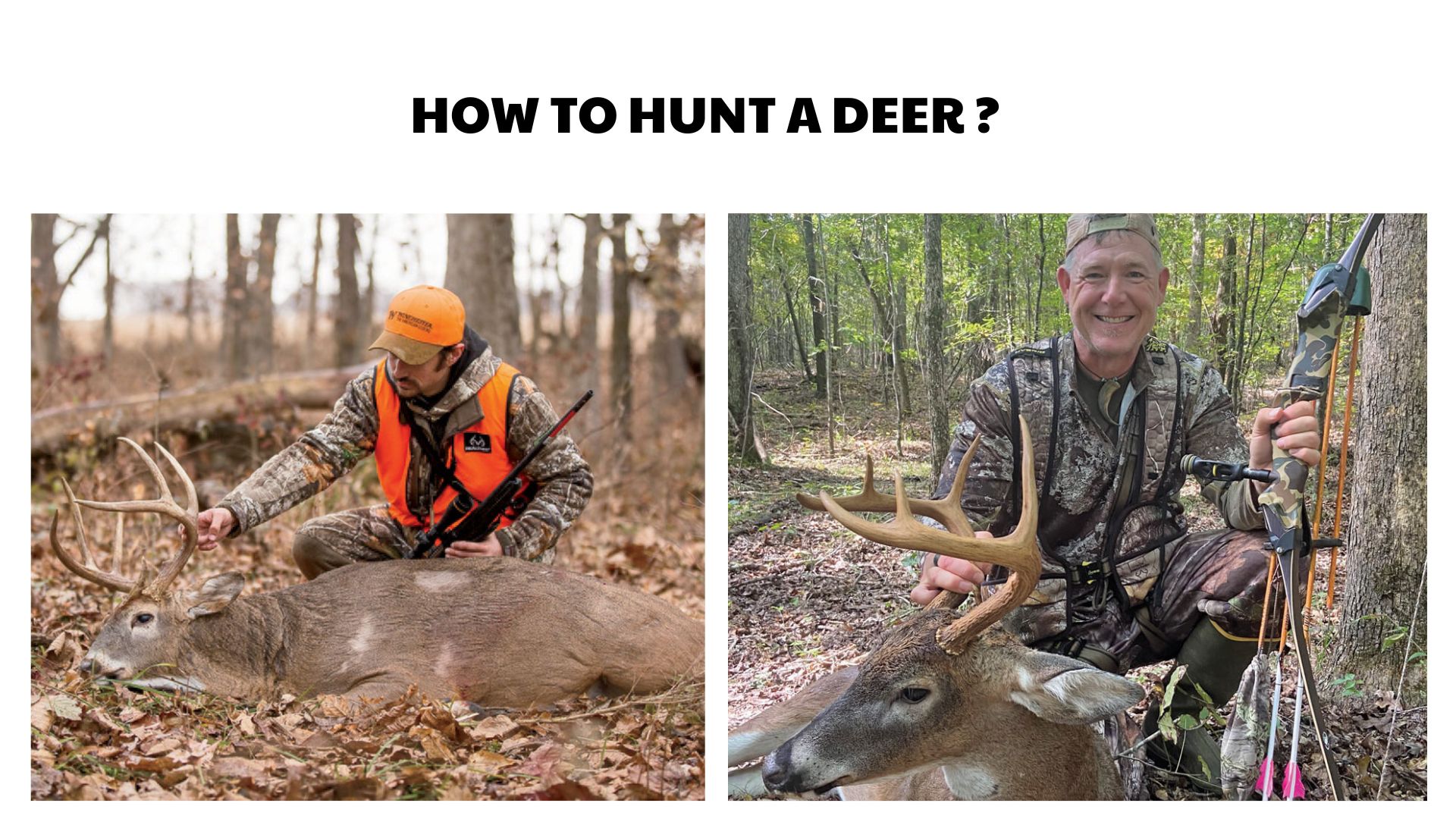 How to Hunt a Deer