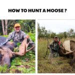 How to Hunt a Moose