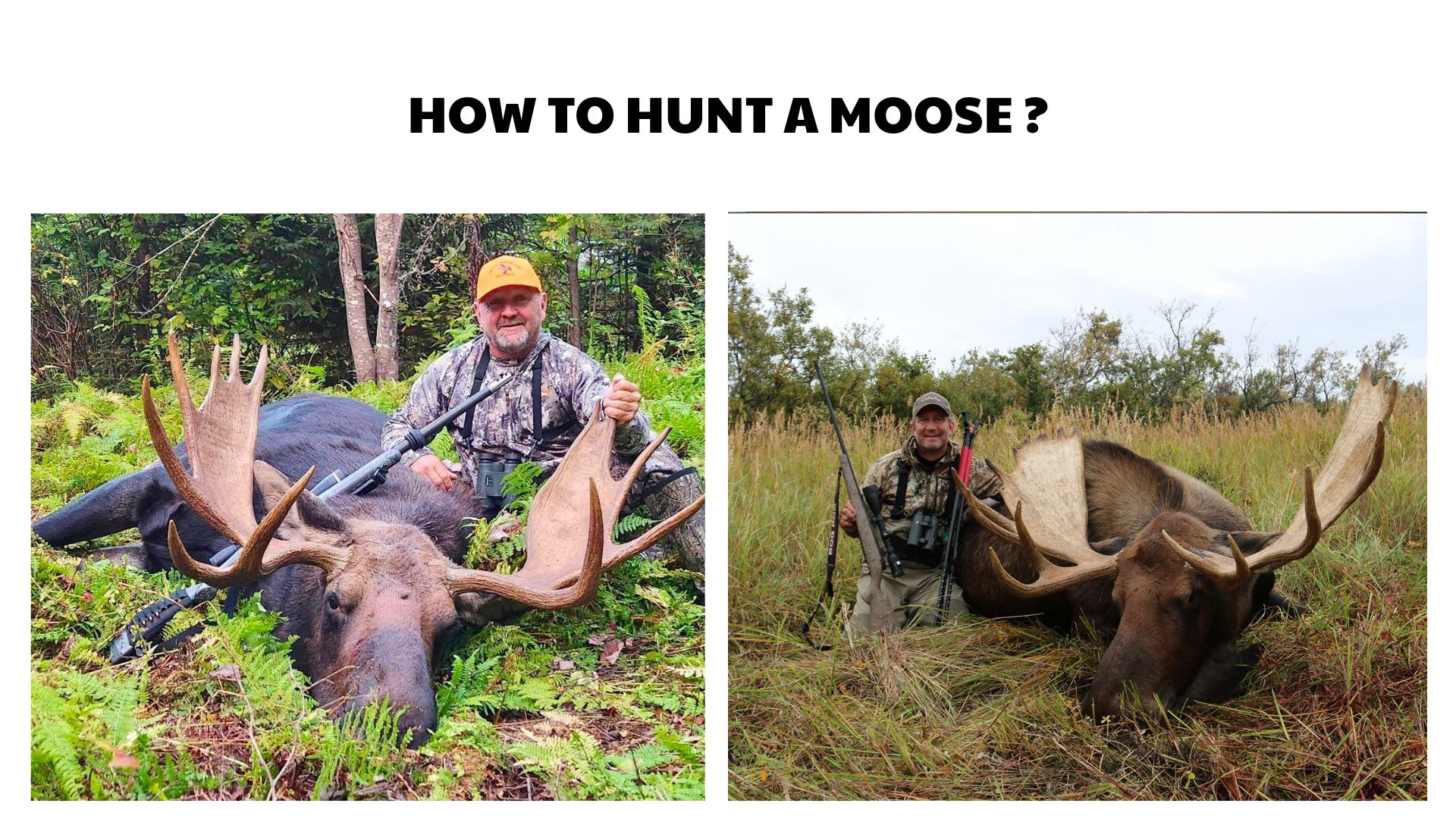 How to Hunt a Moose