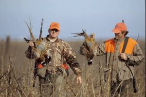 Hunt Pheasant