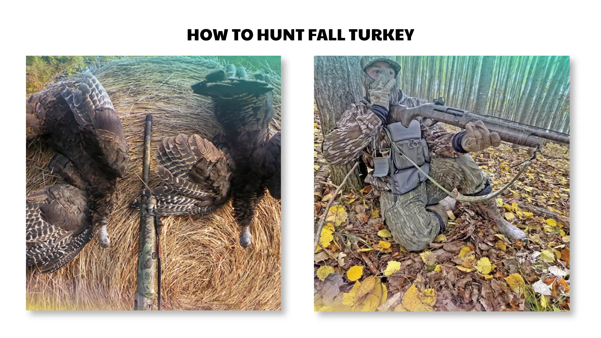how to hunt fall turkey