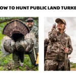 how to hunt public land turkeys