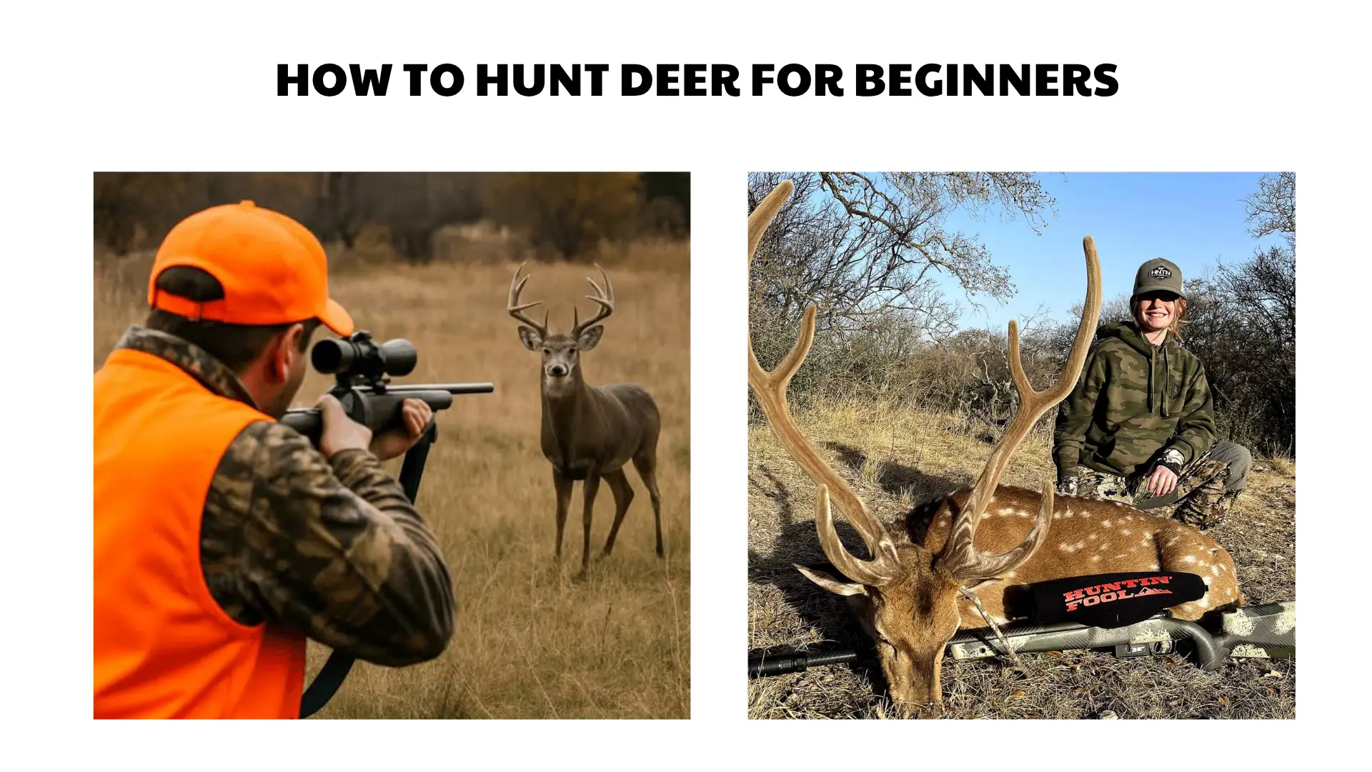how to hunt deer for beginners