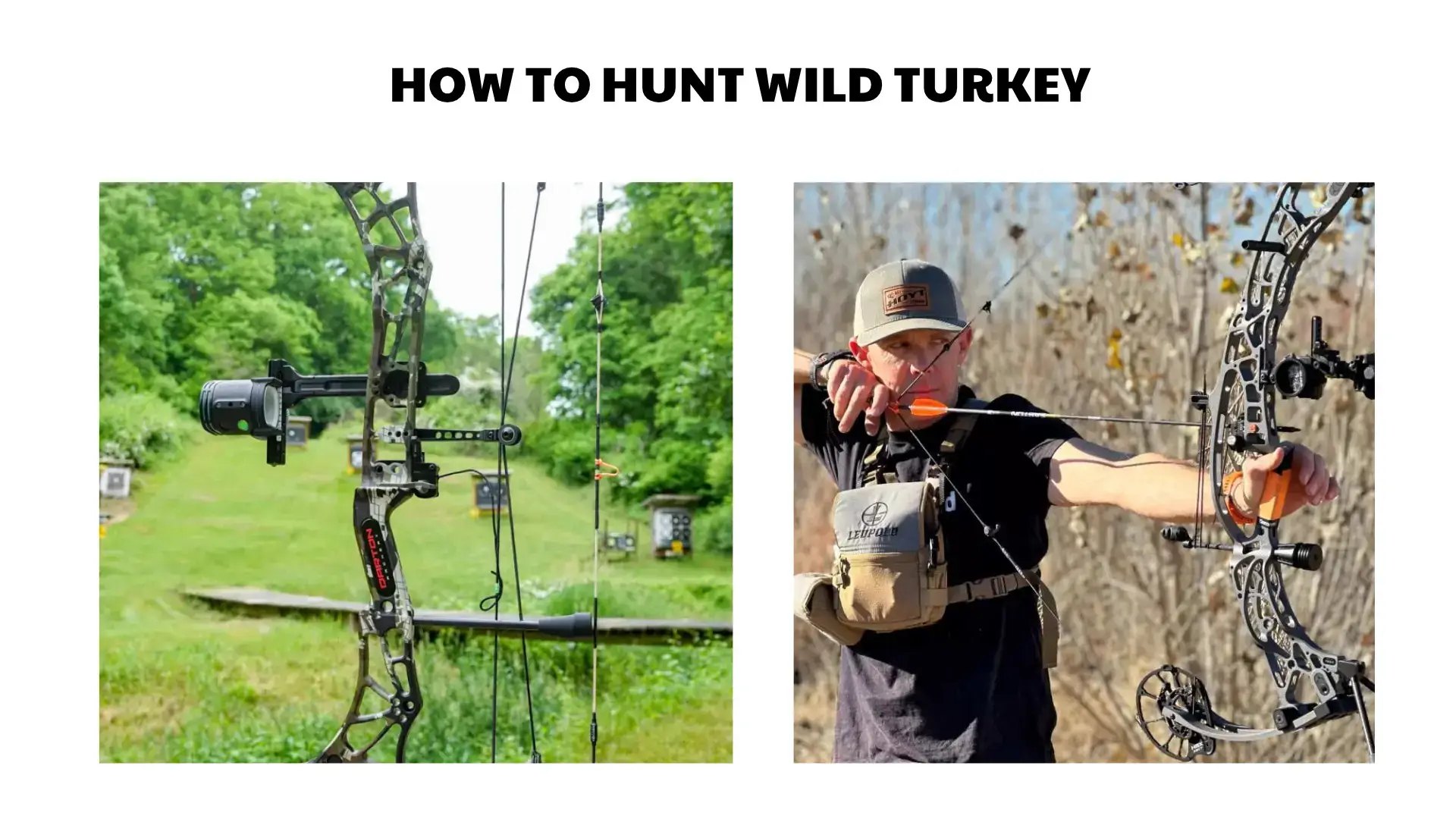 best hunting camera for filming