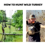 best hunting bows