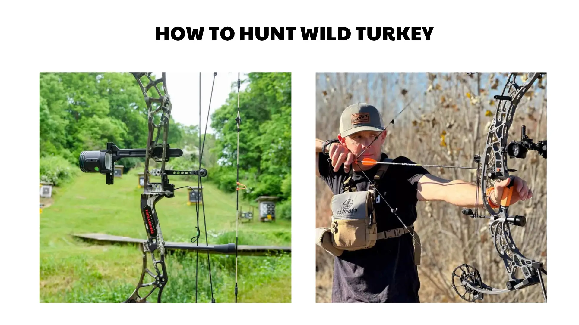 best hunting bows