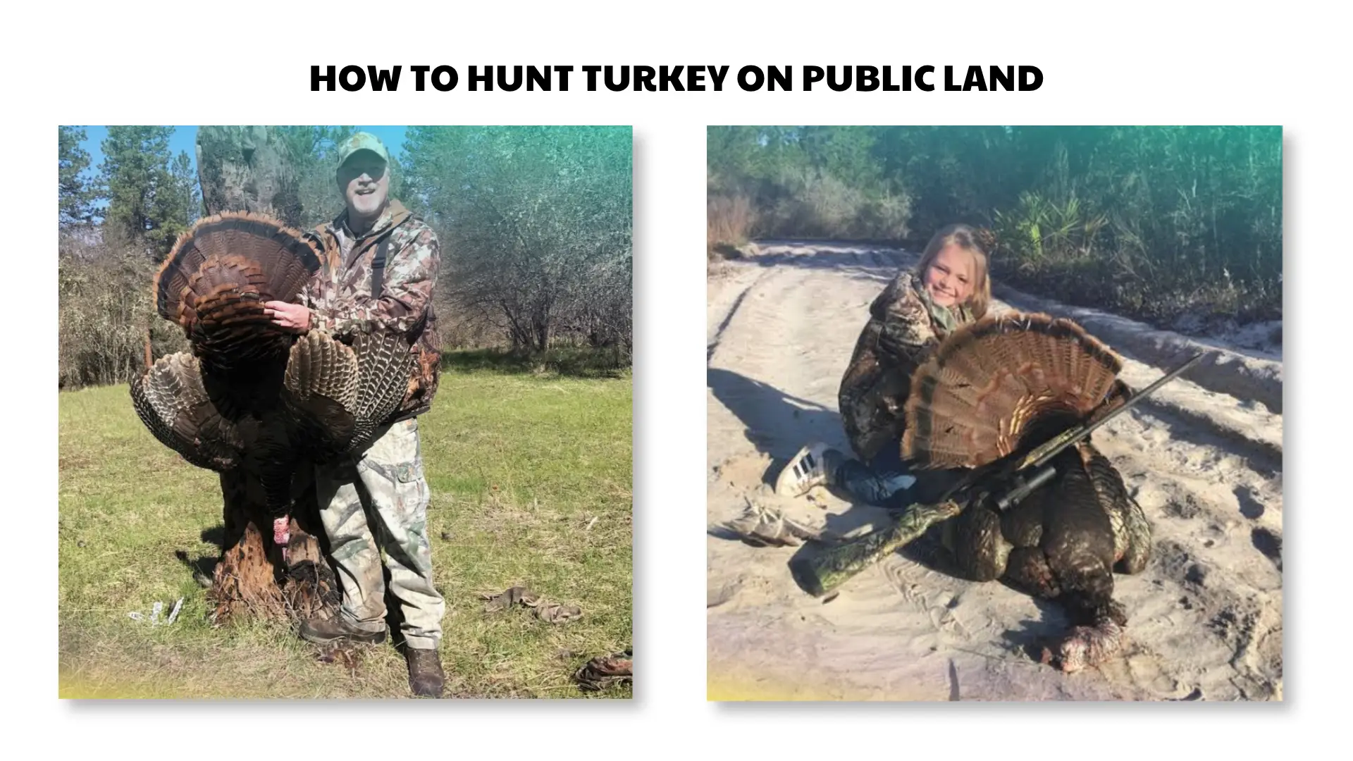 how to hunt turkey on public land