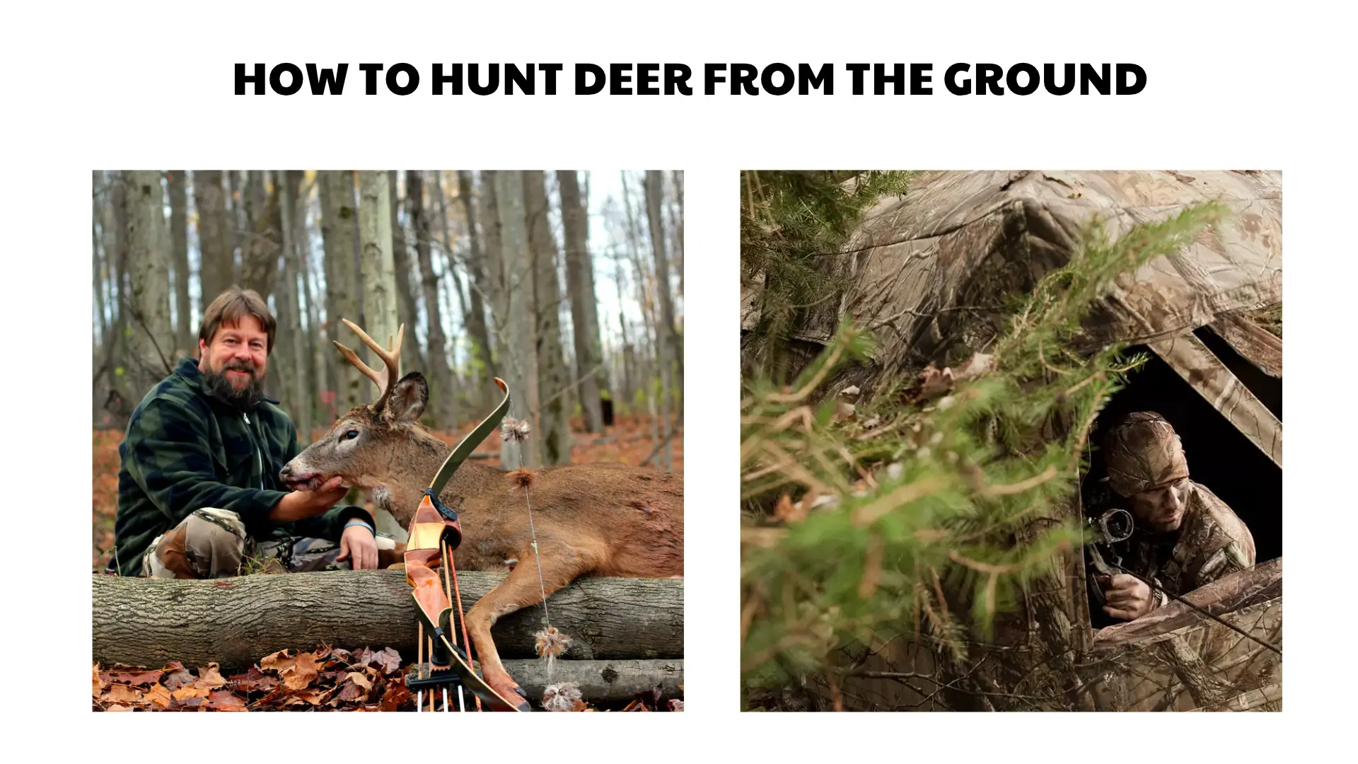 how to hunt deer from the ground