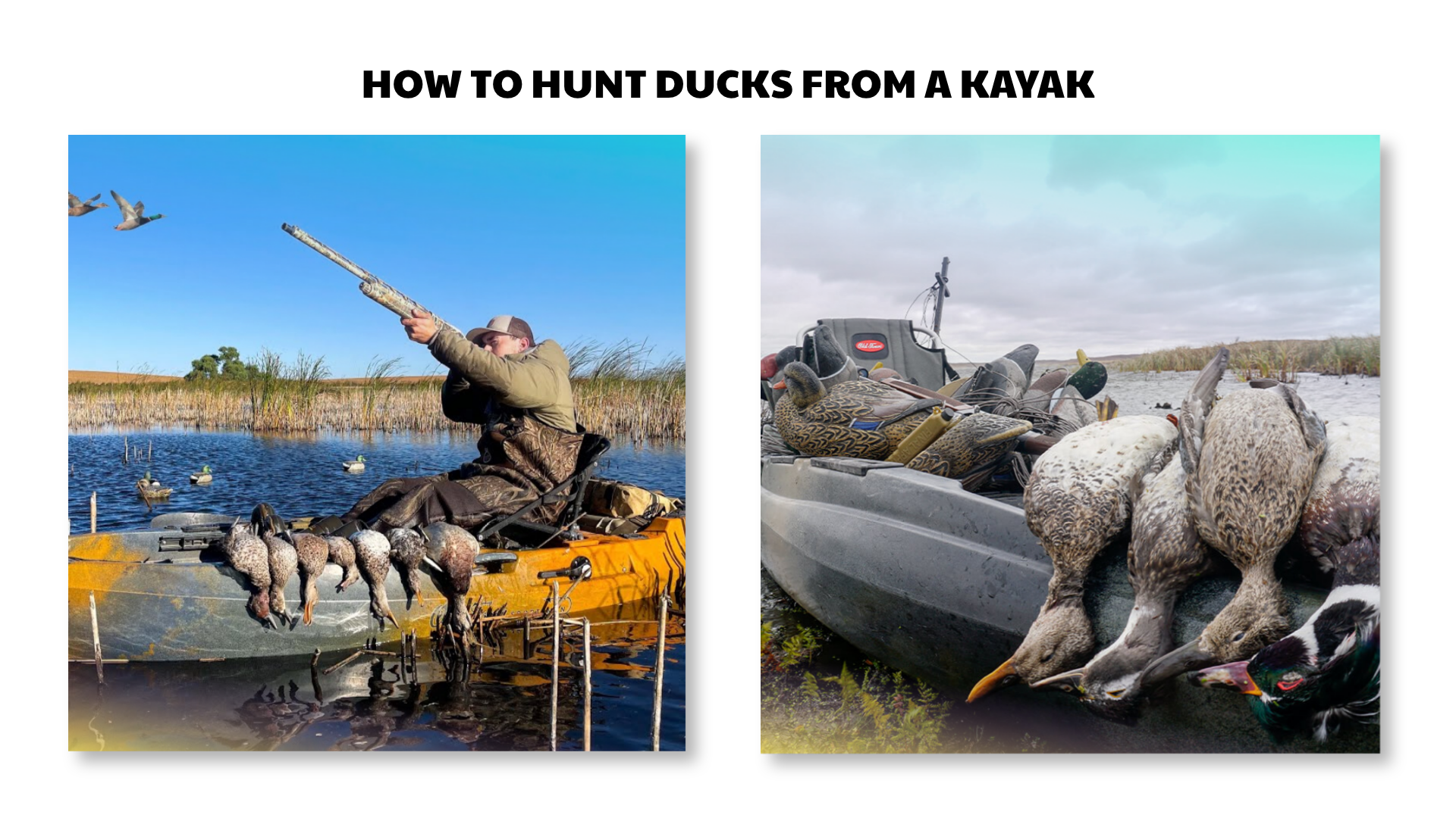 how to hunt ducks from a kayak