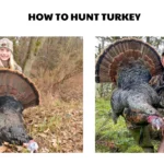 how to hunt turkey