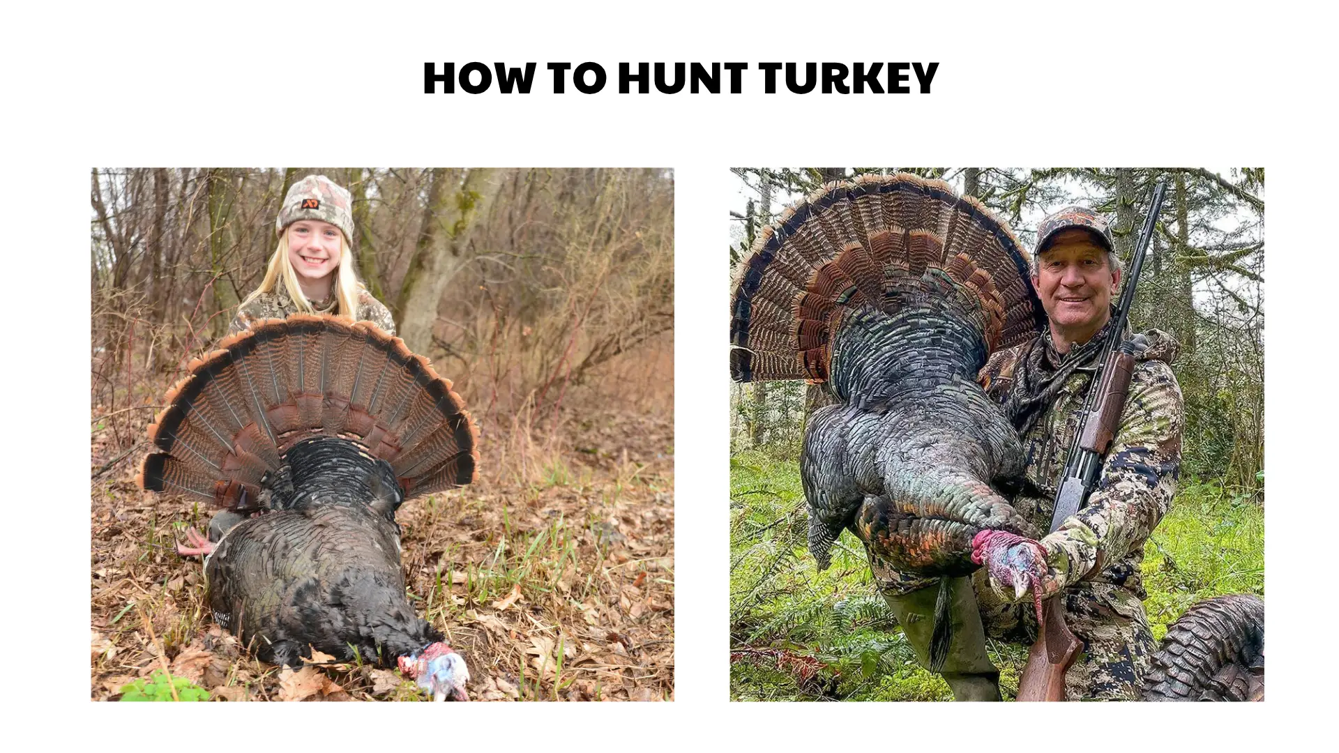 how to hunt turkey