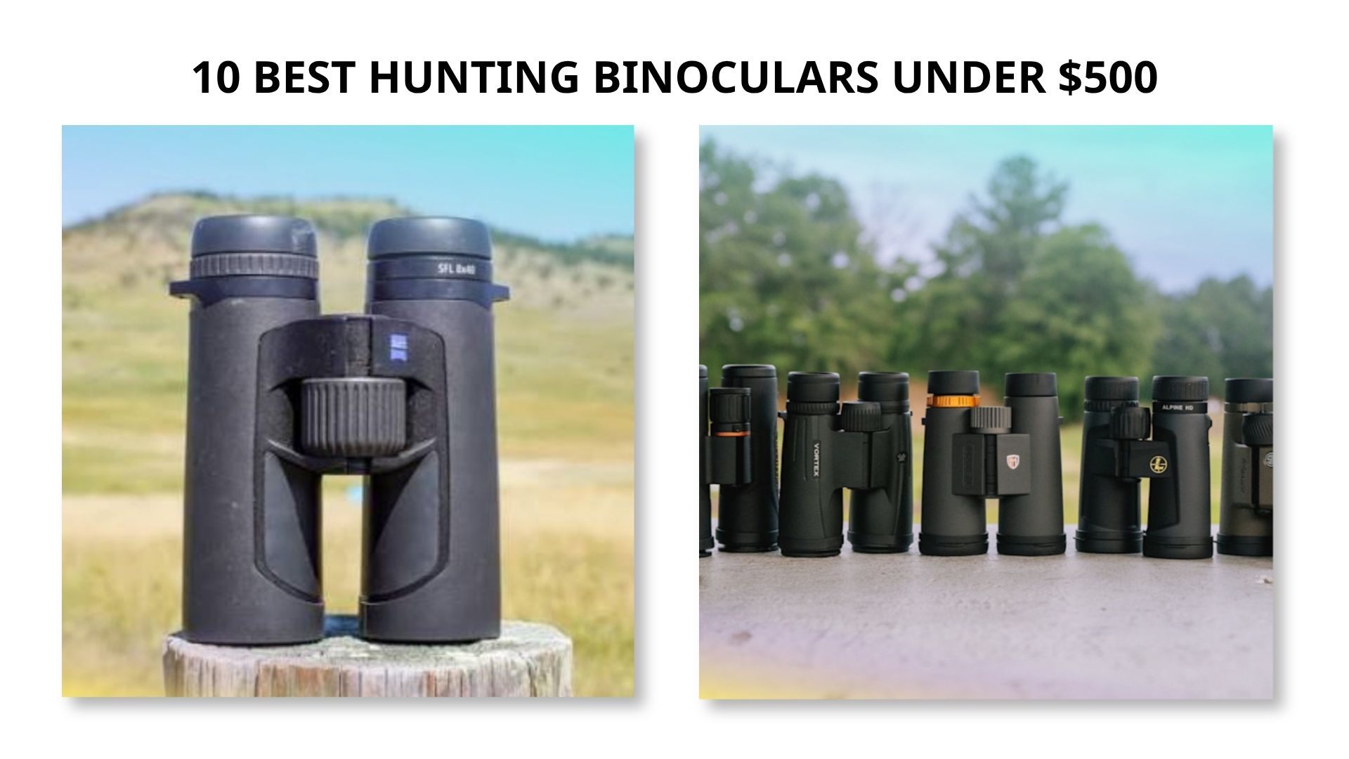 Best Hunting Binoculars Under $500