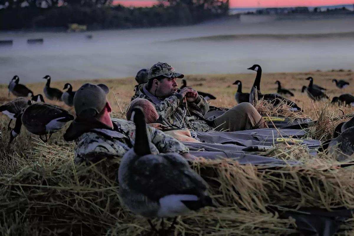 what are the best goose hunting tips
