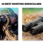 Best Hunting Binoculars