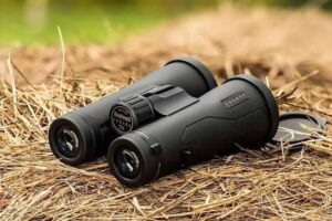 Best Hunting Binoculars