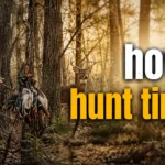 how to hunt timber