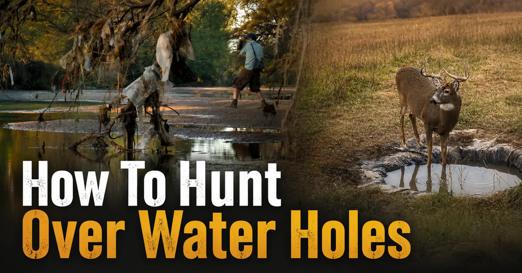 How to Hunt Over Water Holes