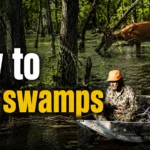 how to hunt swamps