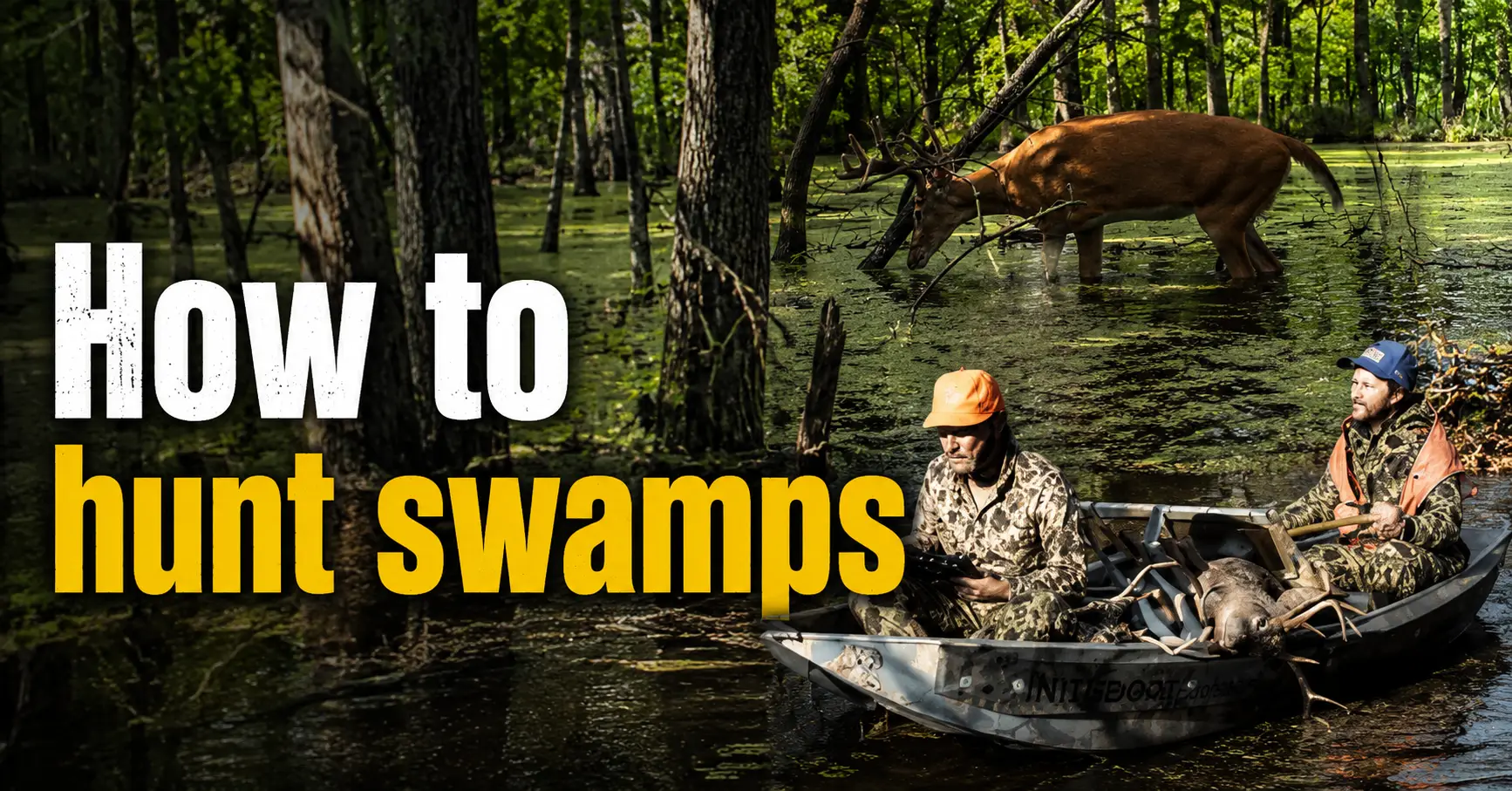 how to hunt swamps