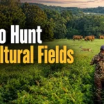 how to hunt agricultural fields