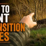 how to hunt transition lines