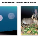 how to hunt during a new moon