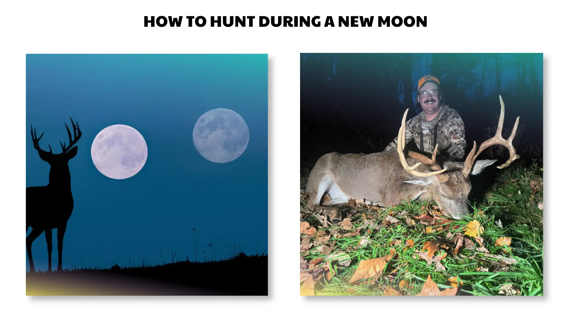 how to hunt during a new moon