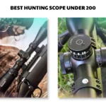 best hunting scope under 300