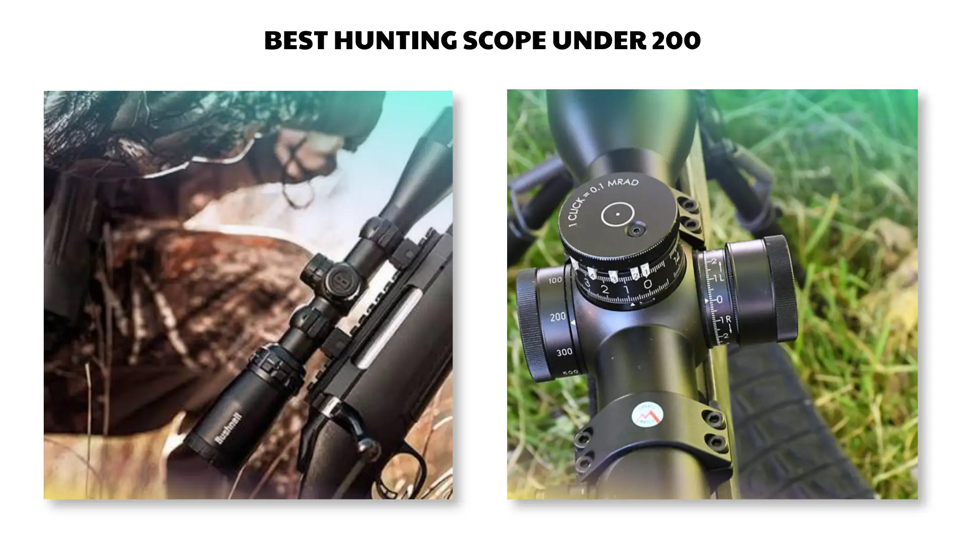 best hunting scope under 300