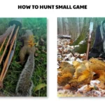 how to hunt small game