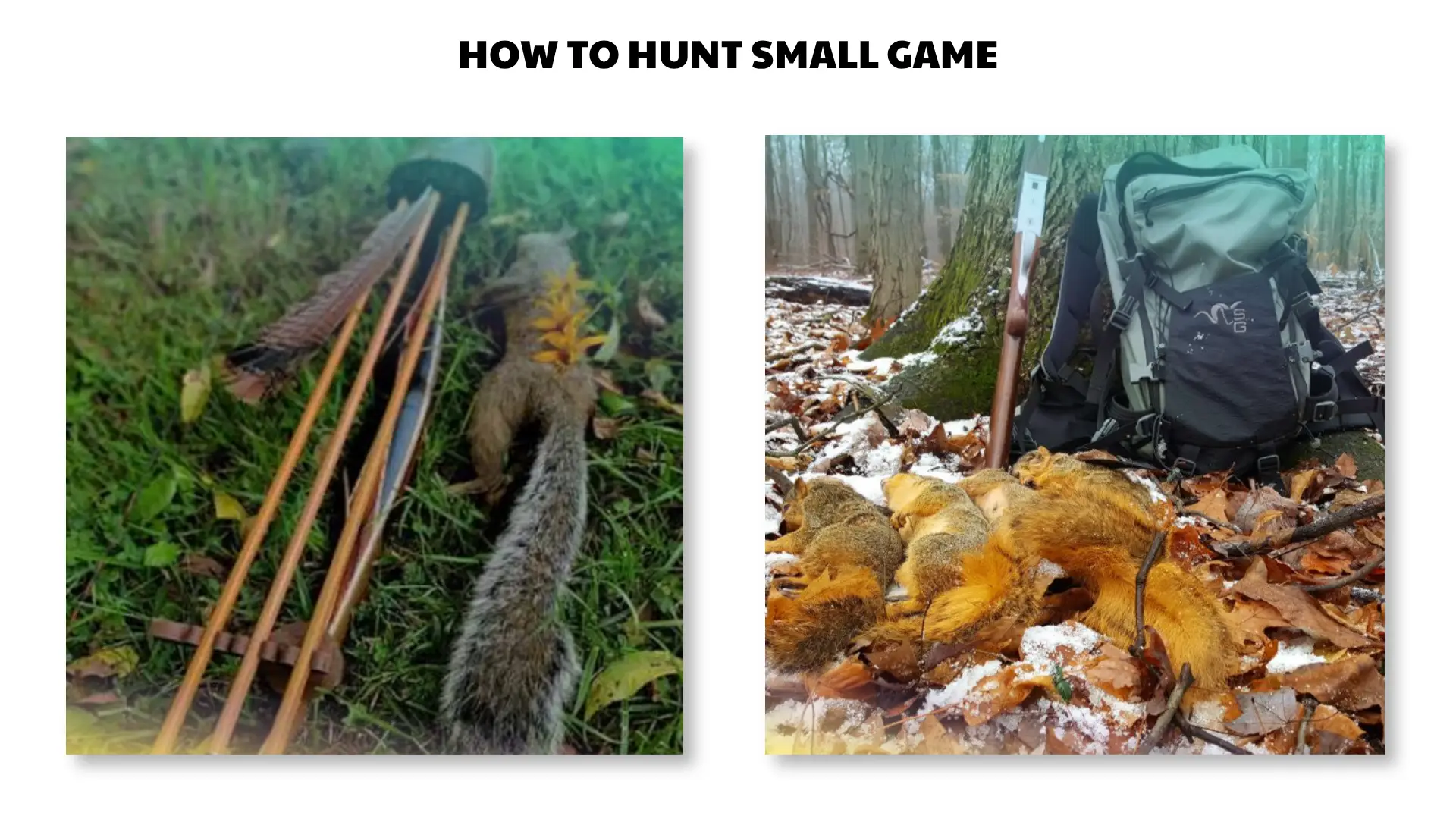 how to hunt small game