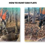 how to hunt oak flats