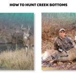 how to hunt creek bottoms