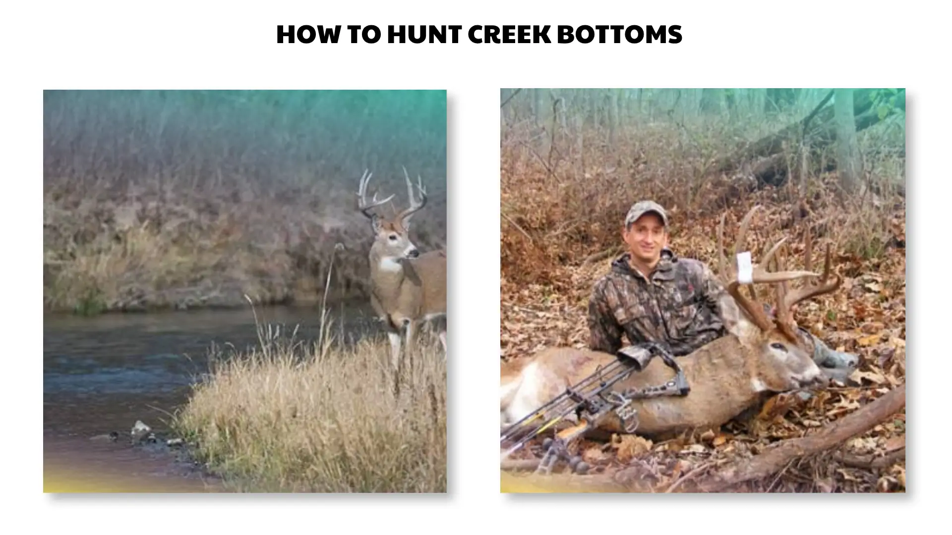 how to hunt creek bottoms