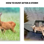 how to hunt after a storm