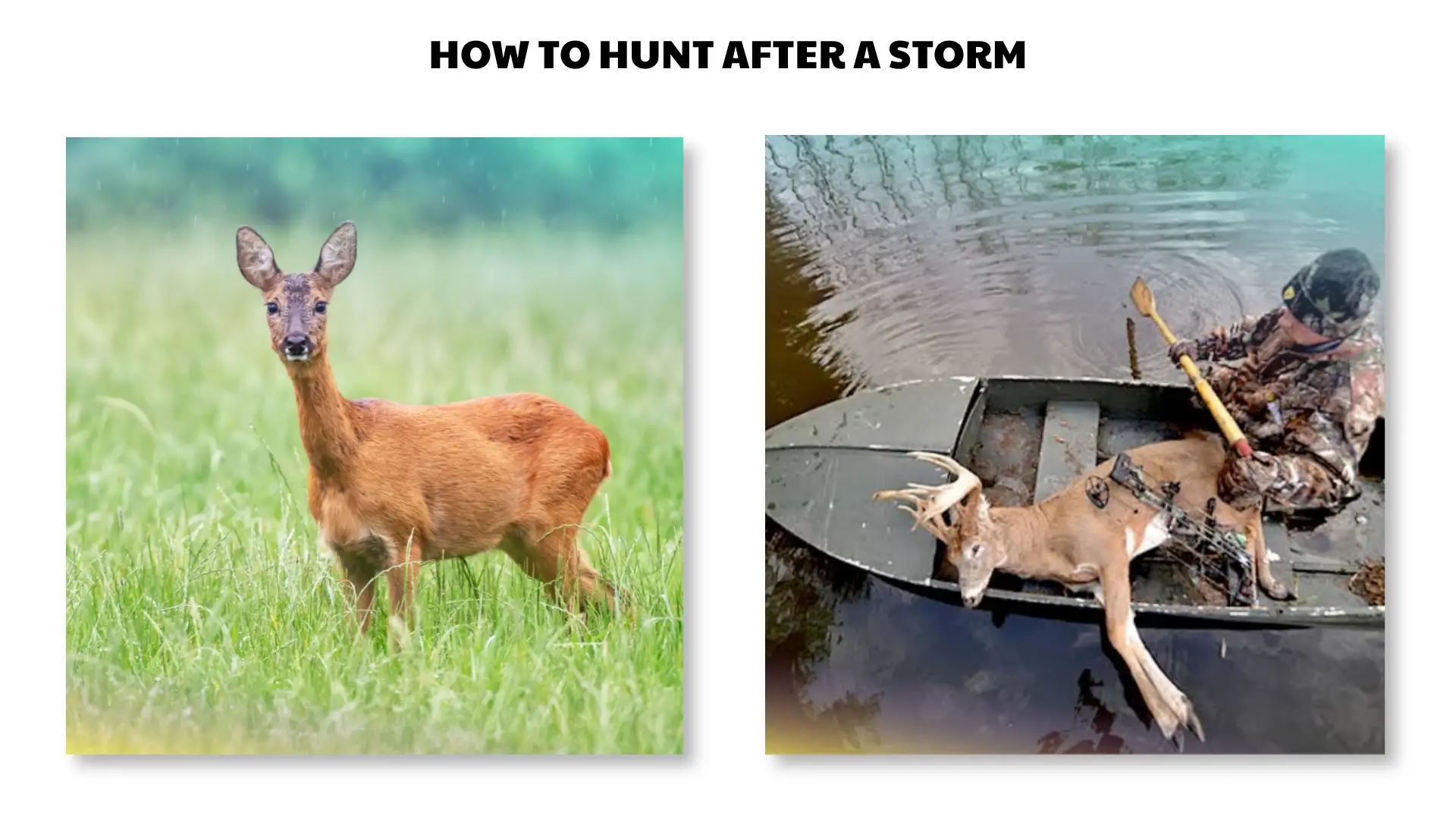 how to hunt after a storm