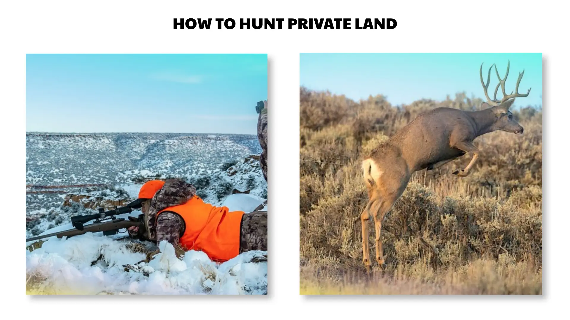 how to hunt private land
