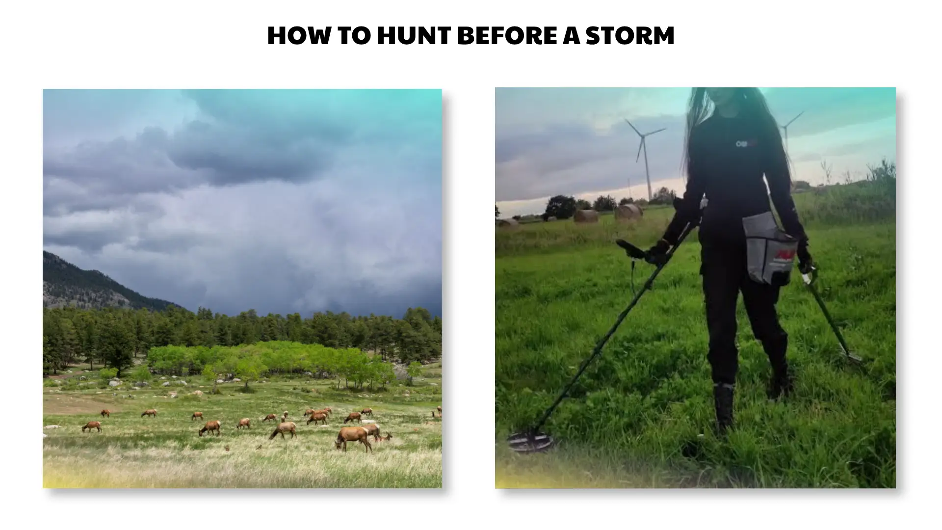 how to hunt before a storm