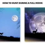 how to hunt during a full moon