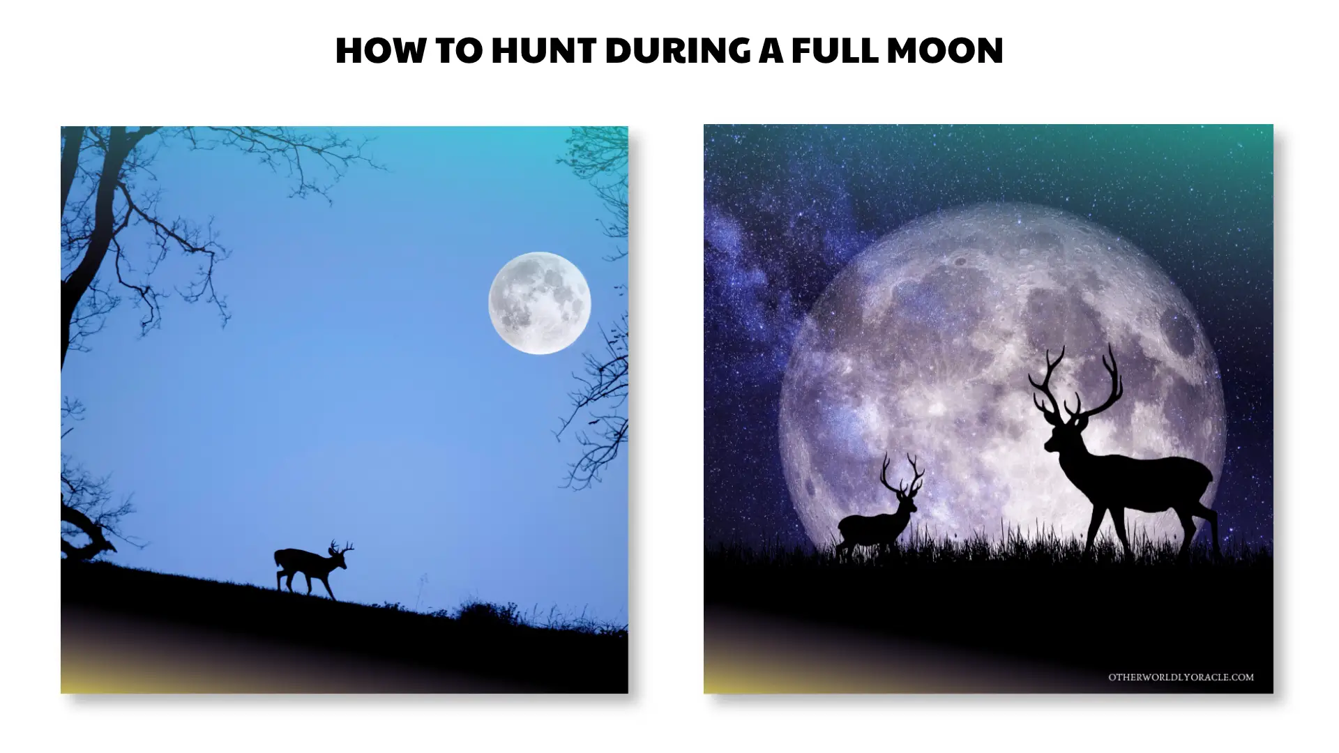 how to hunt during a full moon