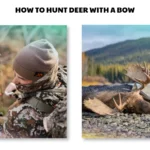 how to hunt deer with a bow