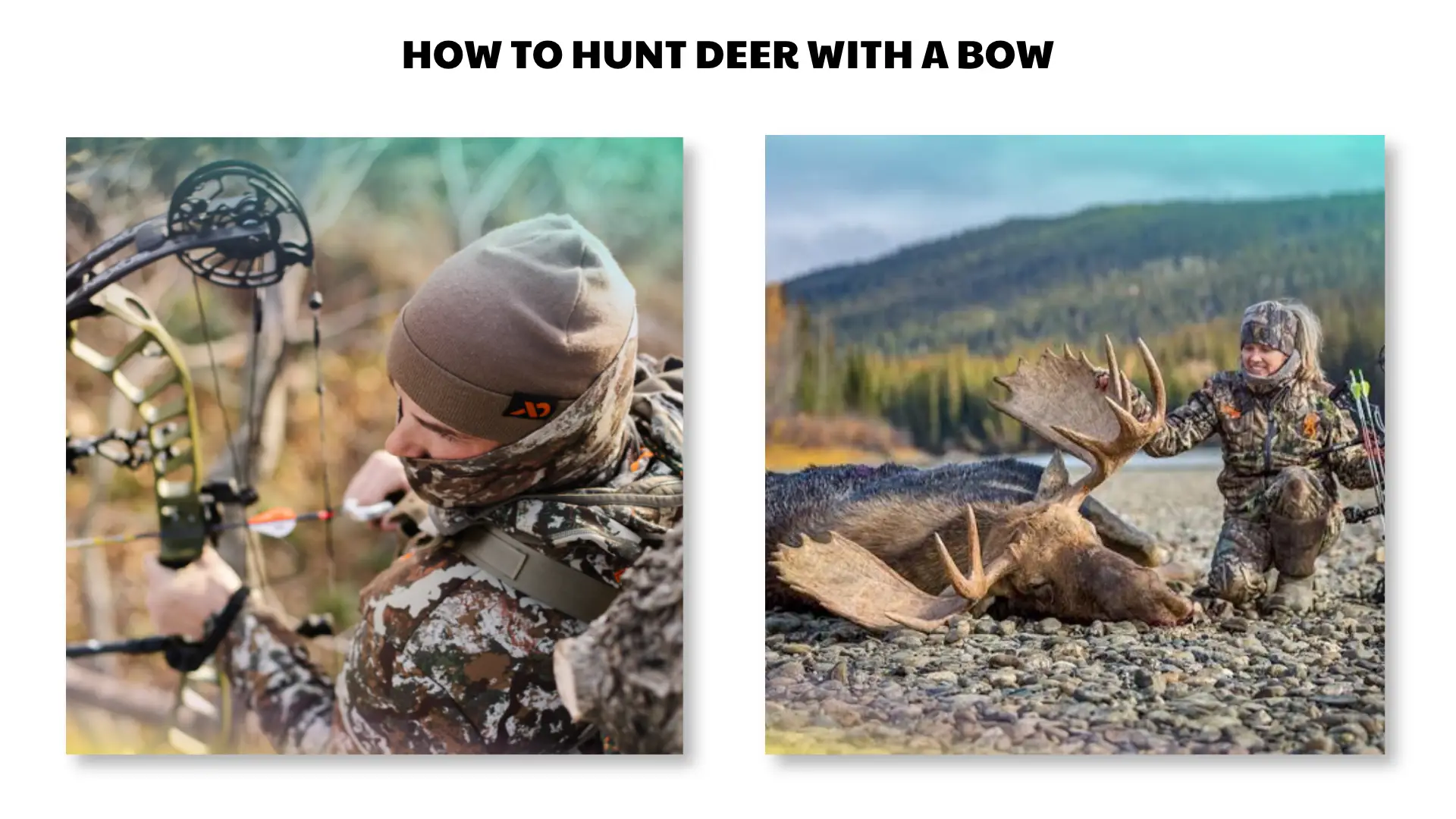 how to hunt deer with a bow