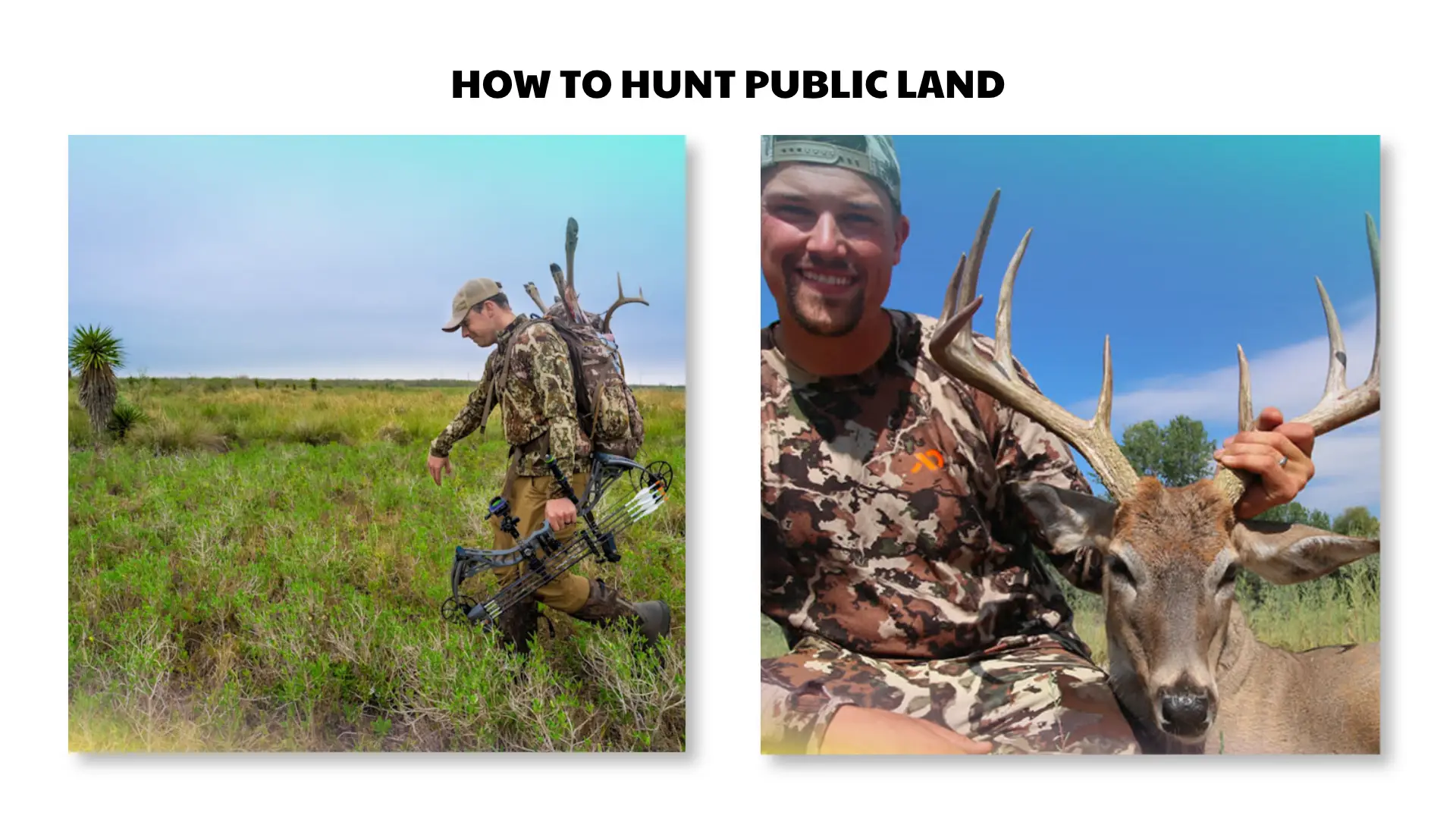 how to hunt public land